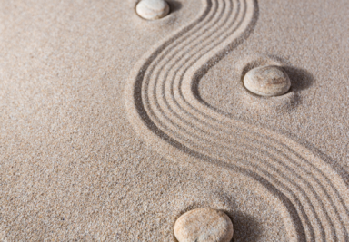 holistic therapy treatment options